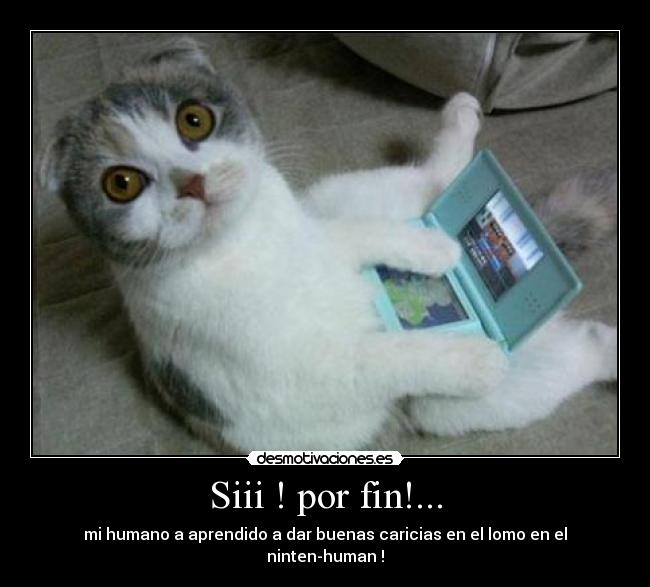 Siii ! por fin!... -