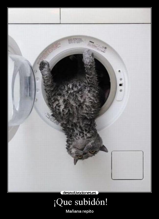 ¡Que subidón! -