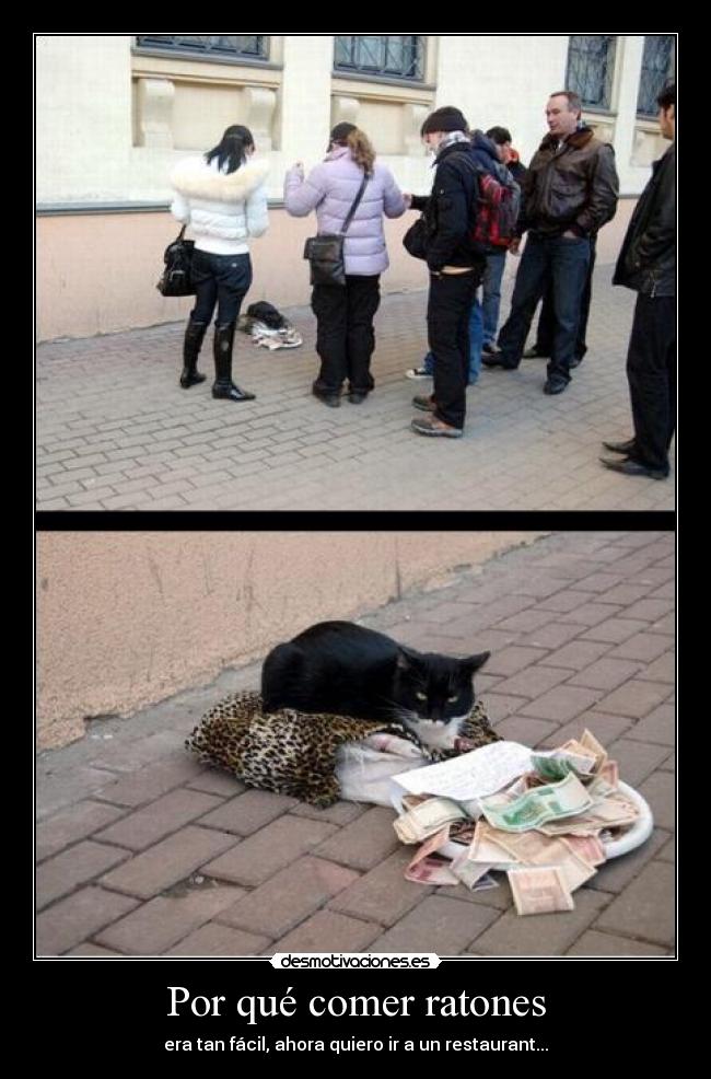 Por qué comer ratones - era tan fácil, ahora quiero ir a un restaurant...