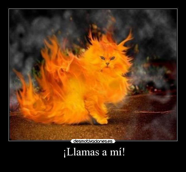 ¡Llamas a mí! -