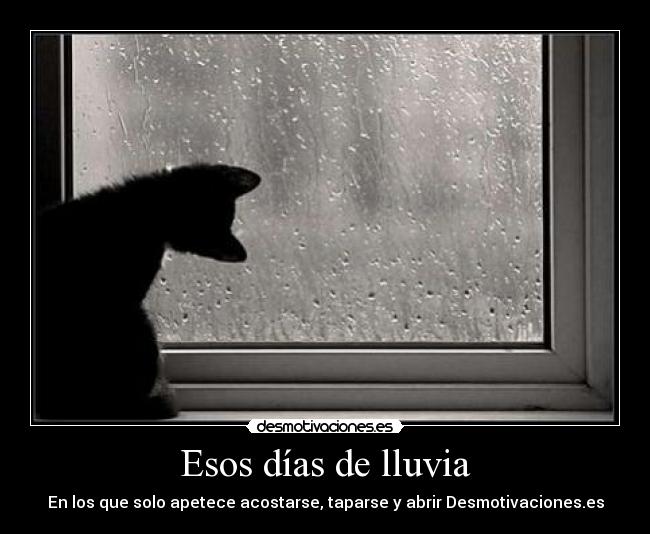 Esos días de lluvia - En los que solo apetece acostarse, taparse y abrir Desmotivaciones.es