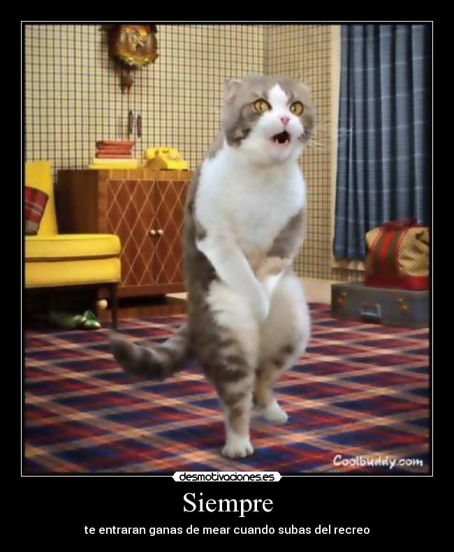 Siempre - te entraran ganas de mear cuando subas del recreo