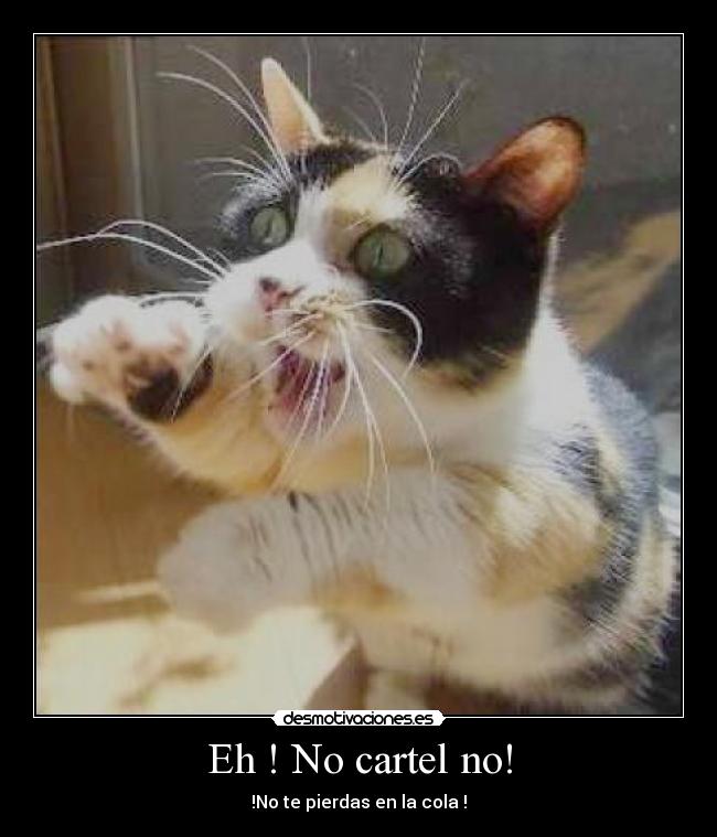 Eh ! No cartel no! -