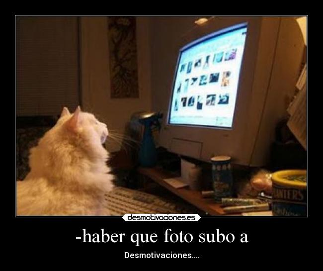 -haber que foto subo a - Desmotivaciones....