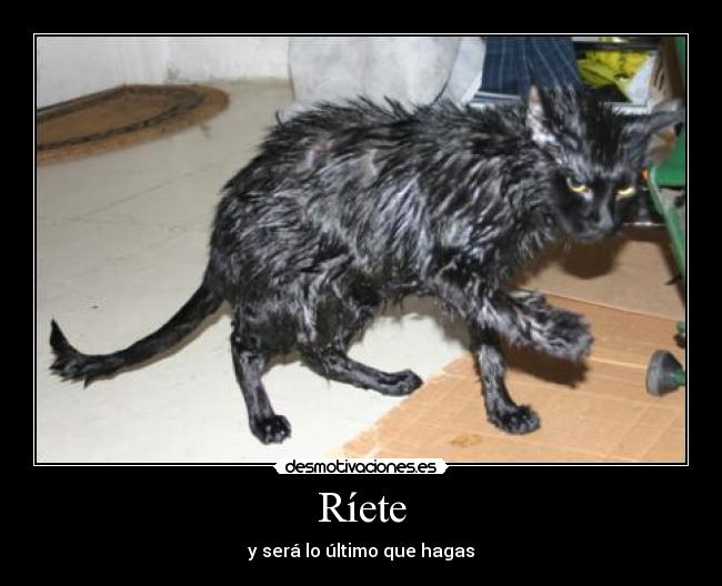 Ríete -