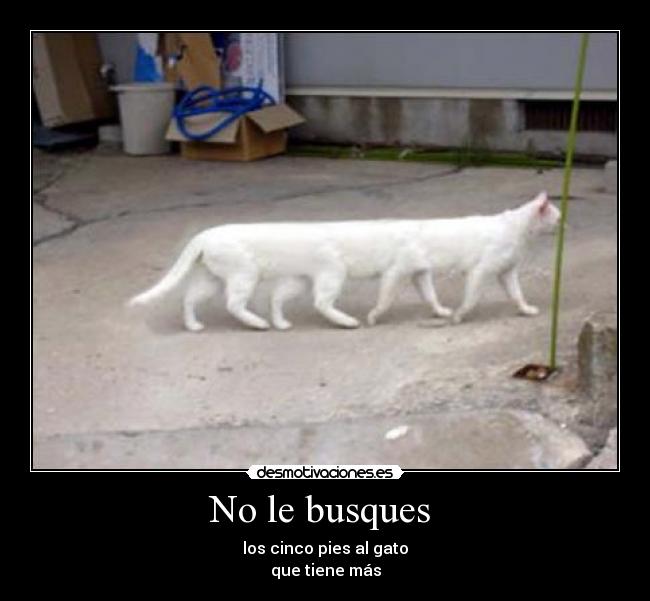 No le busques -