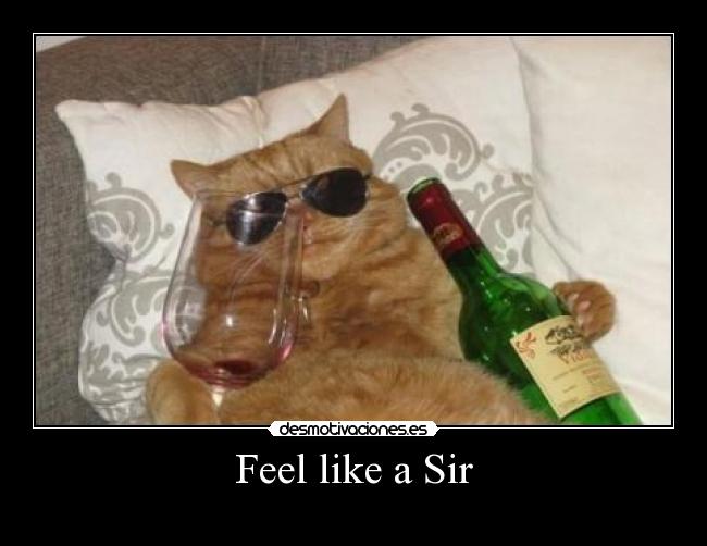 Feel like a Sir -