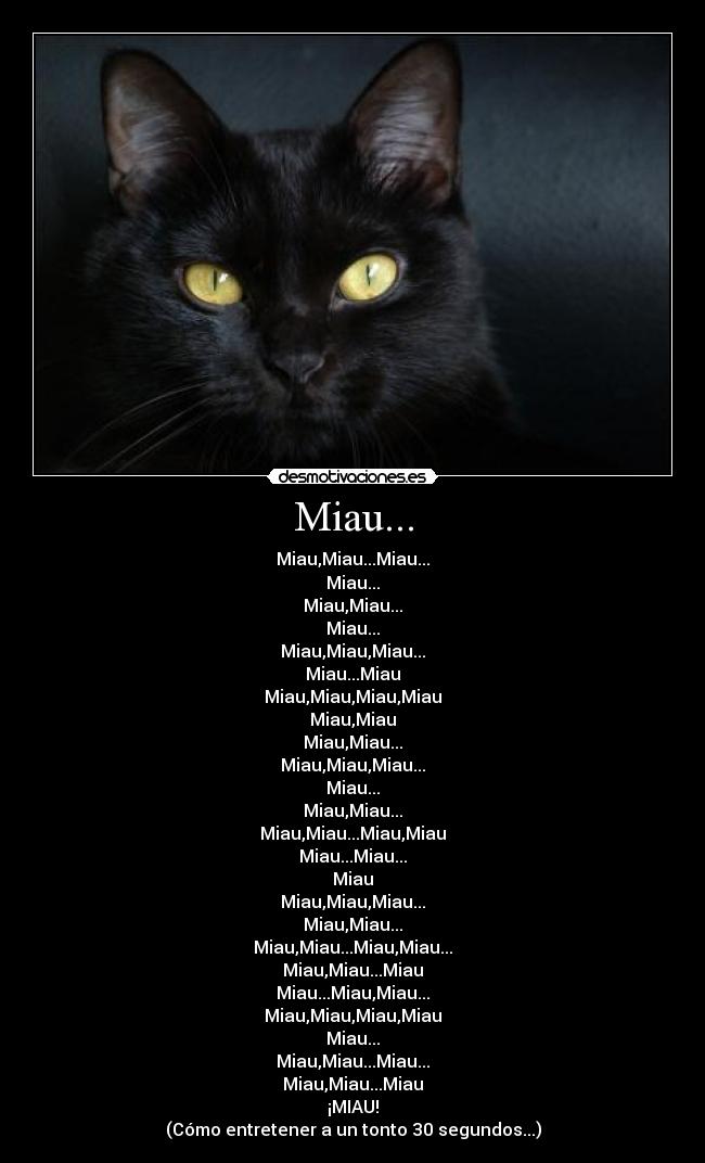 Miau... - Miau,Miau...Miau...
Miau...
Miau,Miau...
Miau...
Miau,Miau,Miau...
Miau...Miau
Miau,Miau,Miau,Miau
Miau,Miau
Miau,Miau...
Miau,Miau,Miau...
Miau...
Miau,Miau...
Miau,Miau...Miau,Miau
Miau...Miau...
Miau
Miau,Miau,Miau...
Miau,Miau...
Miau,Miau...Miau,Miau...
Miau,Miau...Miau
Miau...Miau,Miau...
Miau,Miau,Miau,Miau
Miau...
Miau,Miau...Miau...
Miau,Miau...Miau
¡MIAU!
(Cómo entretener a un tonto 30 segundos...)