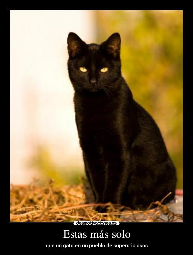 Estas más solo - que un gato en un pueblo de supersticiosos