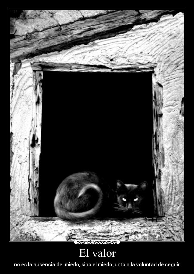 carteles valor ausencia miedo voluntad desmotivaciones