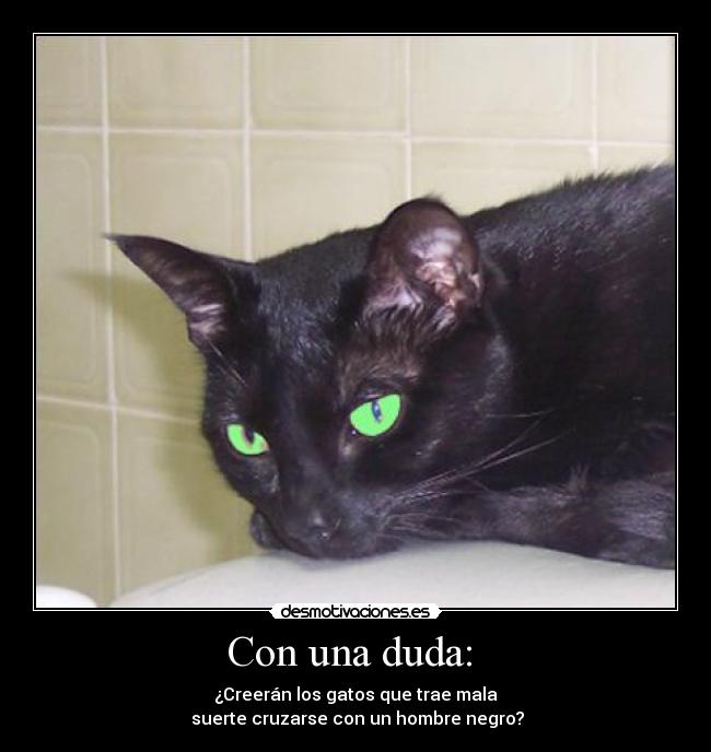 carteles gatosnegro hombre negro walt_k mala suerte desmotivaciones