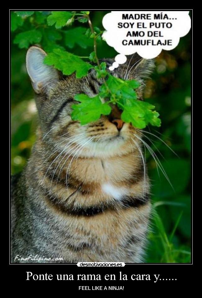 Ponte una rama en la cara y...... -