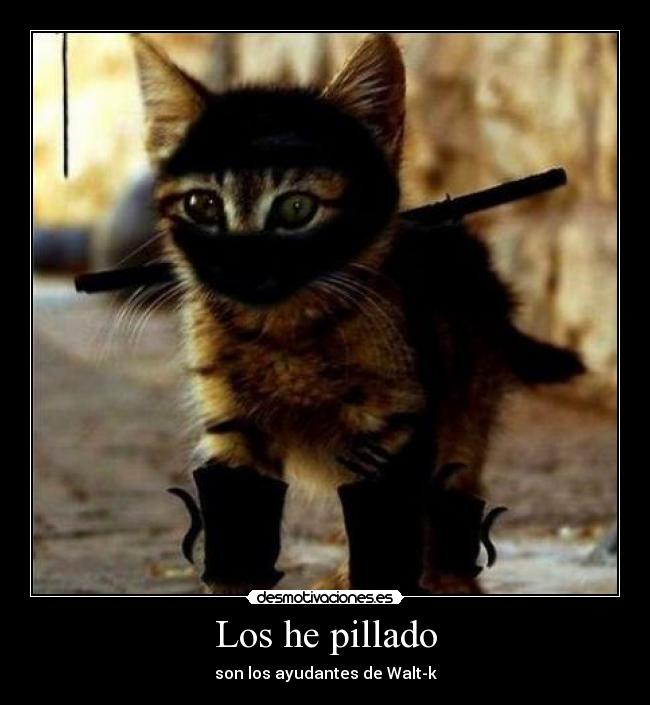 Los he pillado - son los ayudantes de Walt-k
