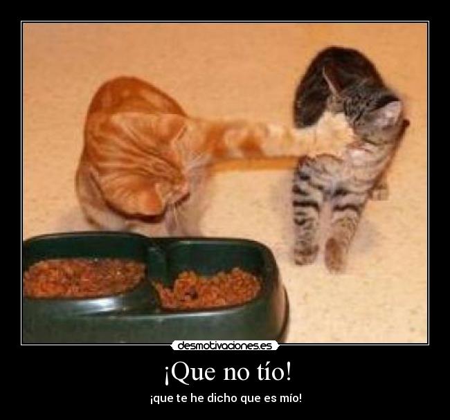 ¡Que no tío! - 