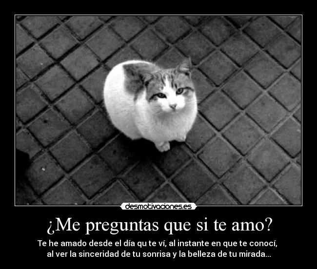 ¿Me preguntas que si te amo? Desmotivaciones