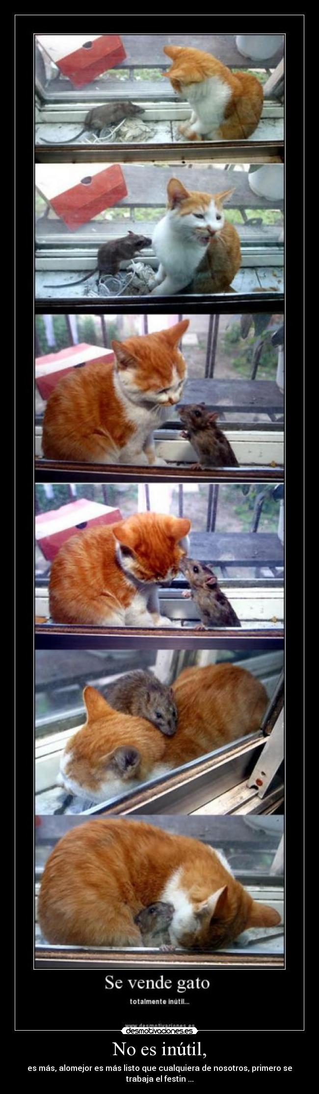 carteles paula desmotivaciones