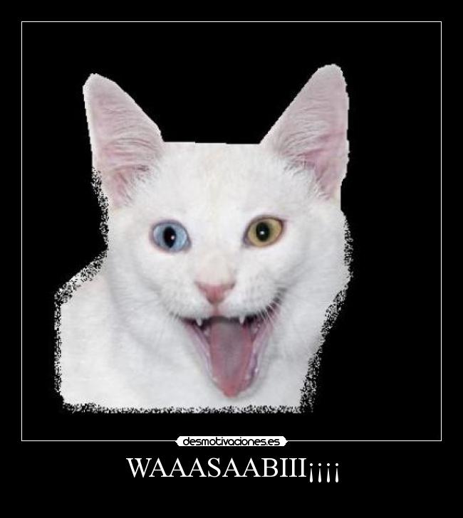 carteles wasabi desmotivaciones