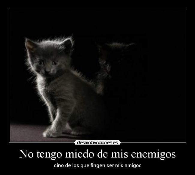 No tengo miedo de mis enemigos - sino de los que fingen ser mis amigos
