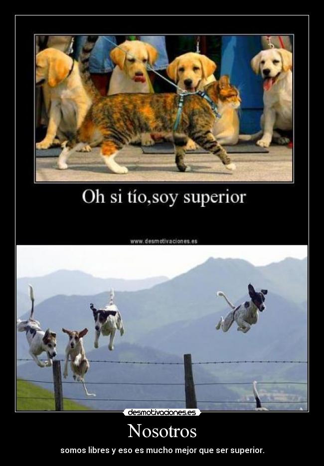 carteles deportivistadeporvida desmotivaciones