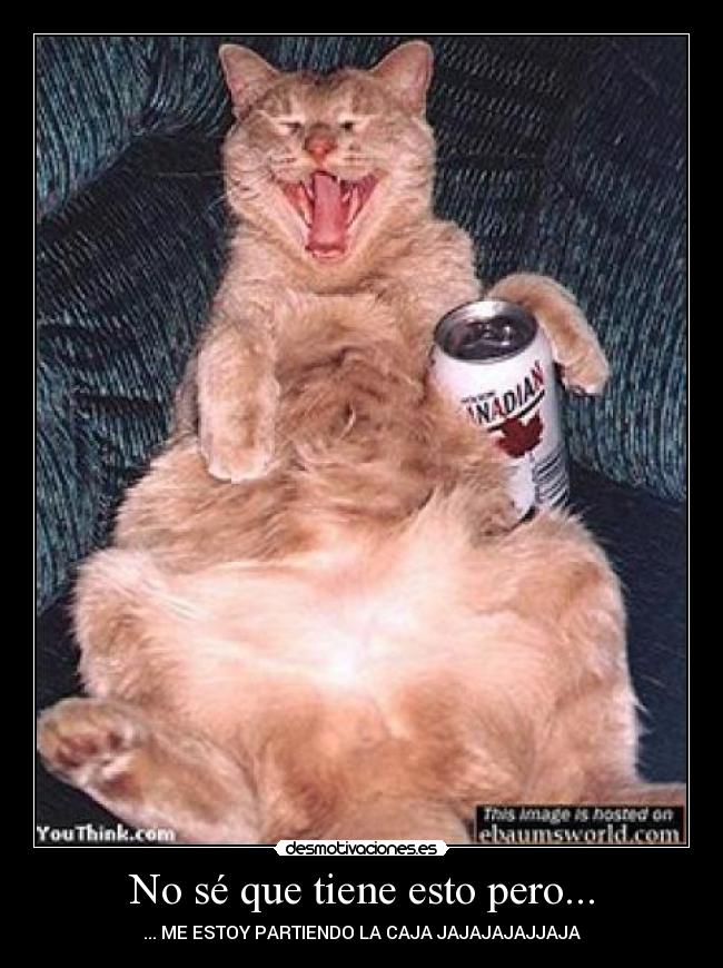 No sé que tiene esto pero... - ... ME ESTOY PARTIENDO LA CAJA JAJAJAJAJJAJA