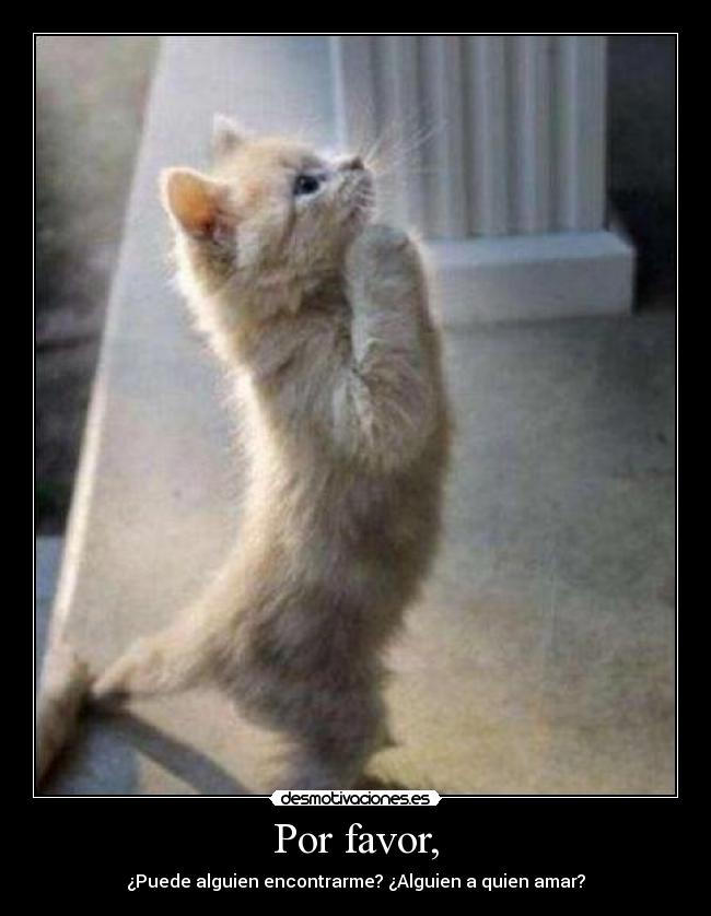 carteles queen somebody love por favor alguien amar desmotivaciones