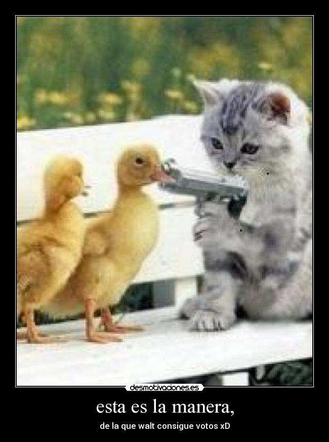 esta es la manera, - 