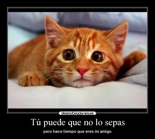 Tú puede que no lo sepas - 
