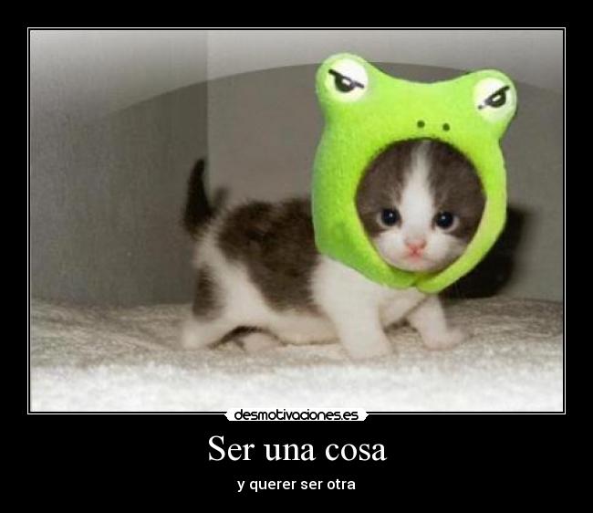 Ser una cosa -