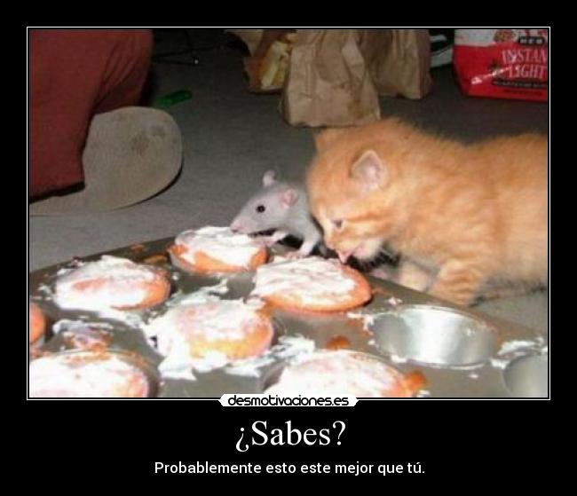 carteles gato raton pasteles comer desmotivaciones