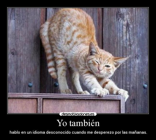 Yo también - hablo en un idioma desconocido cuando me desperezo por las mañanas.