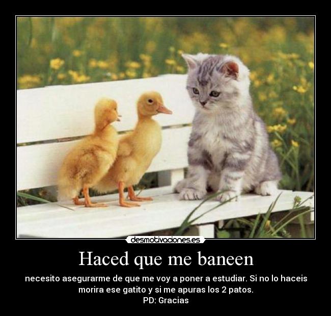 Haced que me baneen - necesito asegurarme de que me voy a poner a estudiar. Si no lo haceis
morira ese gatito y si me apuras los 2 patos.
PD: Gracias