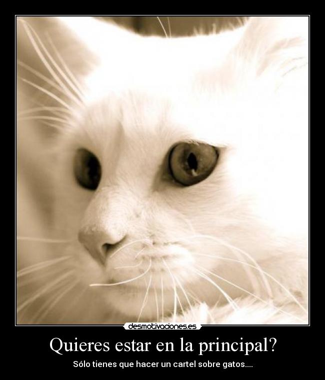 Quieres estar en la principal? -