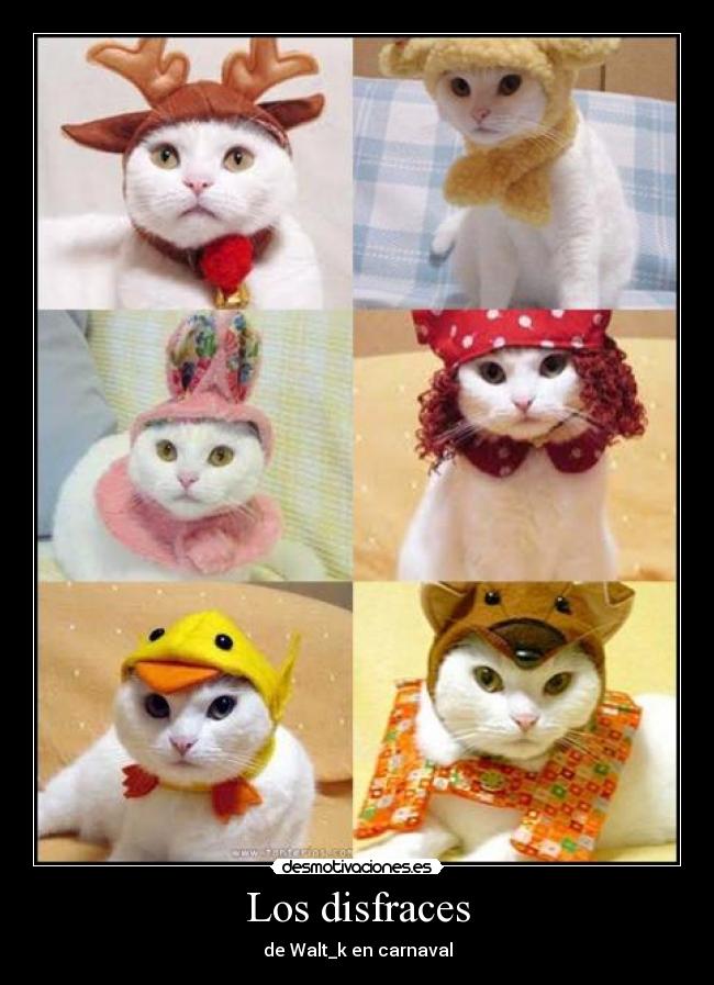 carteles disfraz desmotivaciones