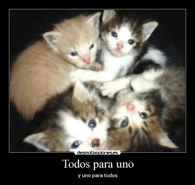 Todos para uno - y uno para todos