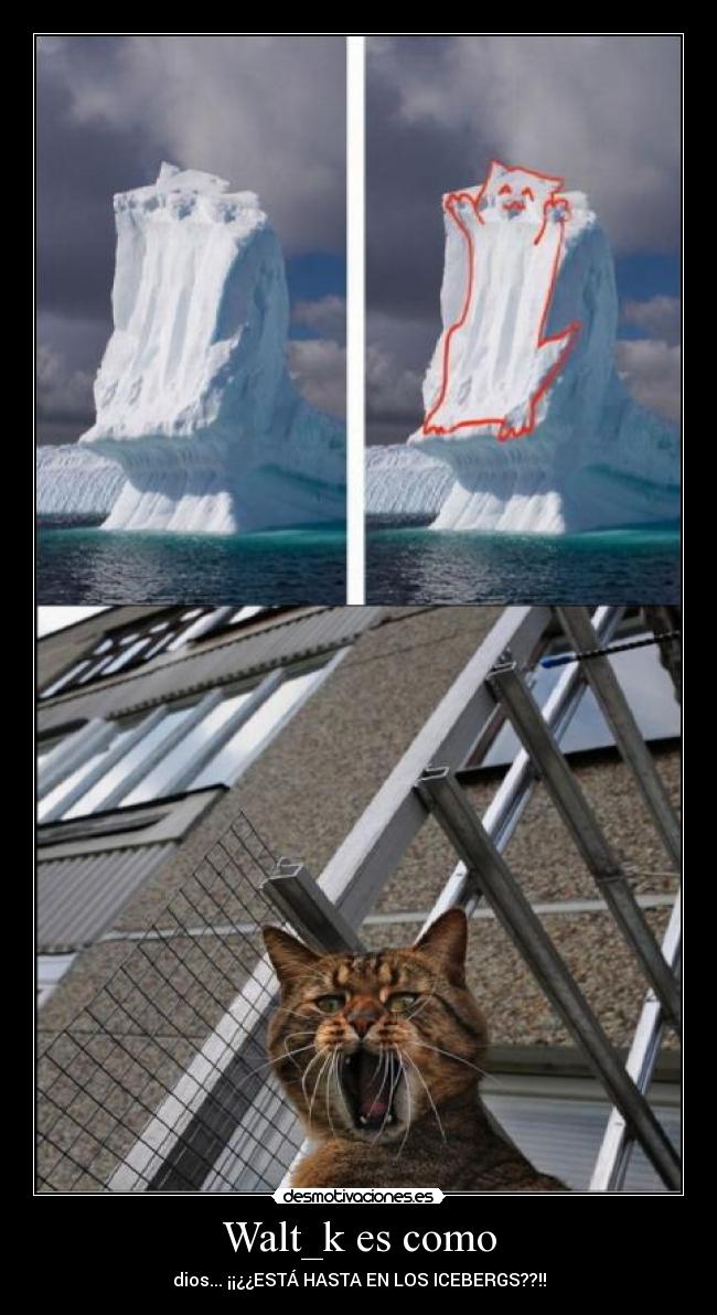 Walt_k es como - dios... ¡¡¿¿ESTÁ HASTA EN LOS ICEBERGS??!!