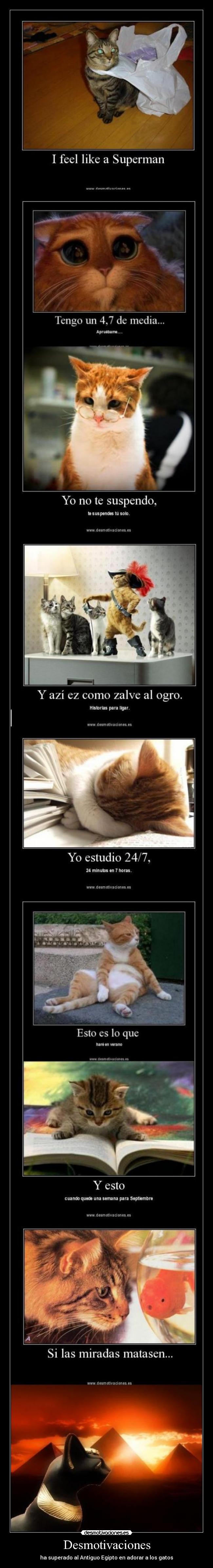 carteles desmotivaciones gatos egipto desmotivaciones desmotivaciones