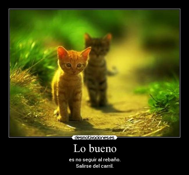 Lo bueno -