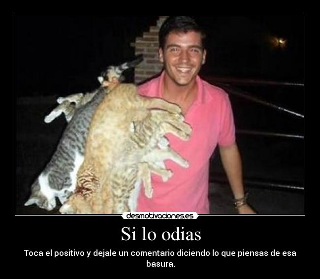 Si lo odias - Toca el positivo y dejale un comentario diciendo lo que piensas de esa basura.