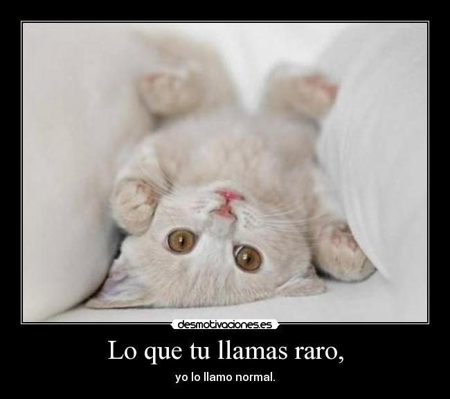 Lo que tu llamas raro, -