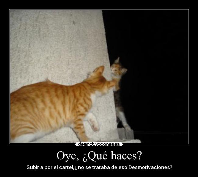 Oye, ¿Qué haces? - Subir a por el cartel,¿ no se trataba de eso Desmotivaciones?