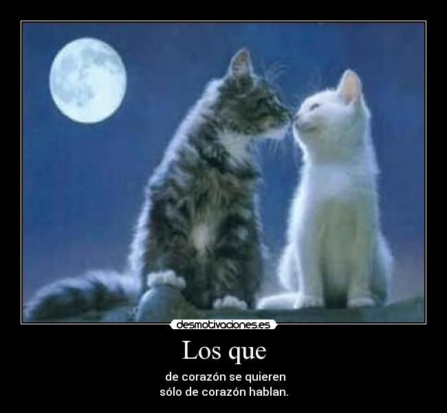 carteles cocacola10 desmotivaciones