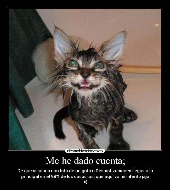 Me he dado cuenta; -