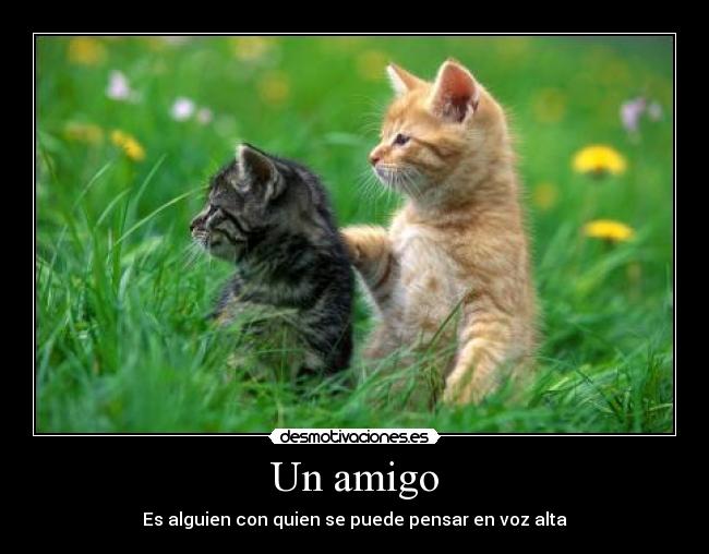 Un amigo - Es alguien con quien se puede pensar en voz alta