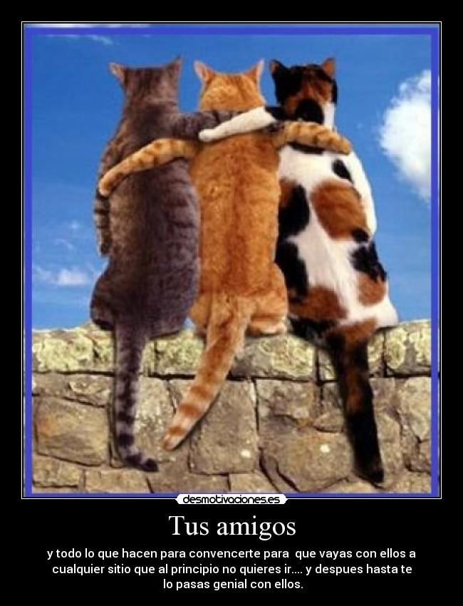 Tus amigos -