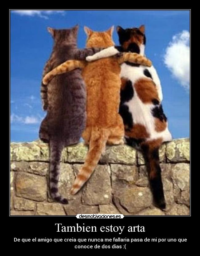 Tambien estoy arta - De que el amigo que creia que nunca me fallaria pasa de mi por uno que
conoce de dos dias :(