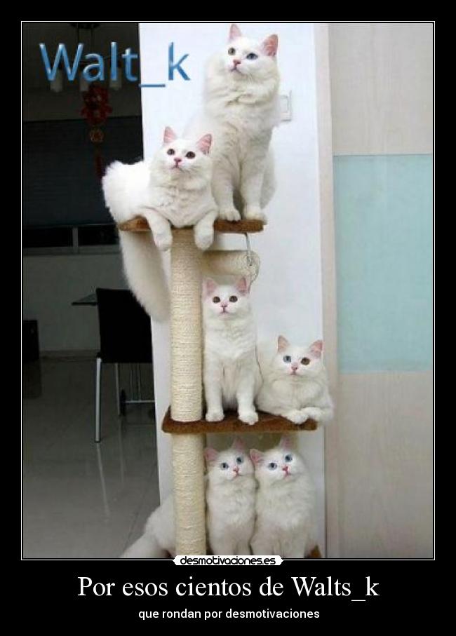 Por esos cientos de Walts_k - que rondan por desmotivaciones
