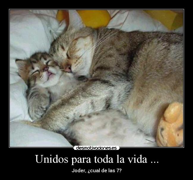 Unidos para toda la vida ... -