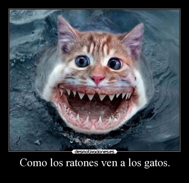 Como los ratones ven a los gatos. - 