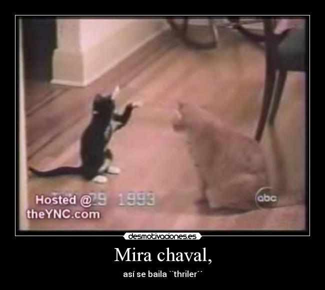 Mira chaval, - así se baila ``thriler´´