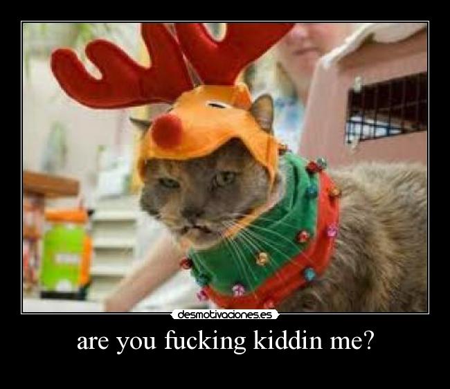are you fucking kiddin me? -